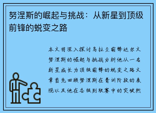 努涅斯的崛起与挑战：从新星到顶级前锋的蜕变之路