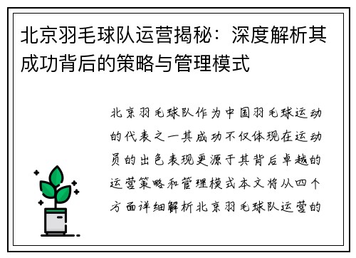 北京羽毛球队运营揭秘：深度解析其成功背后的策略与管理模式